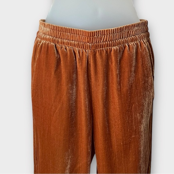 Madewell Copper Size XXS Velvet Lounge Pull On Track Trousers Ankle Pants - Picture 5 of 10